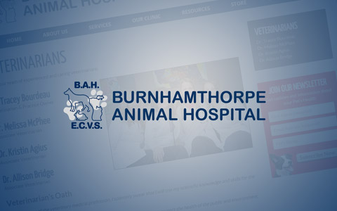Burnhamthorpe Animal Hospital